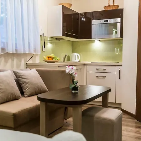 Apartament Krupowki CENTRUM-2